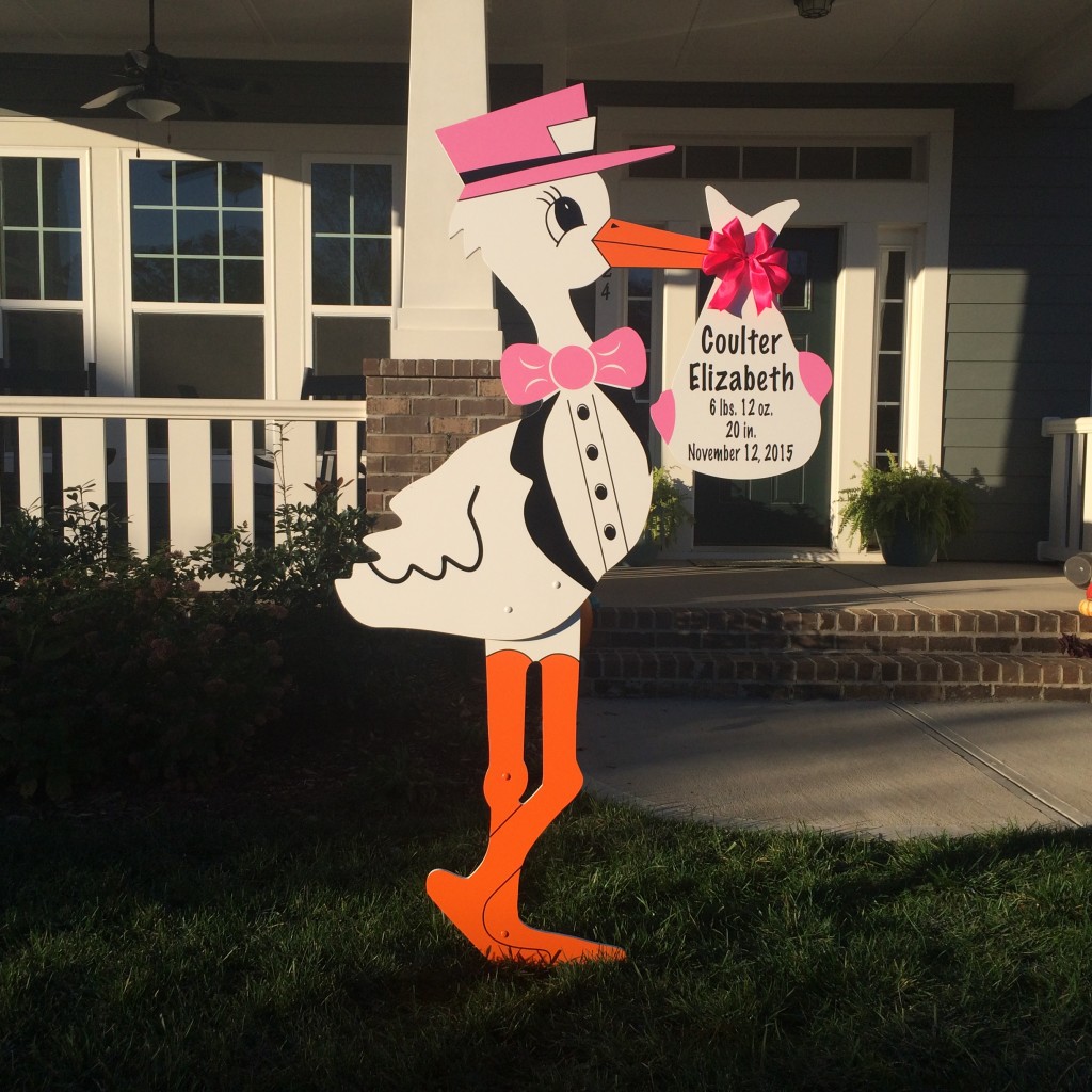 stork rental Charlotte NC