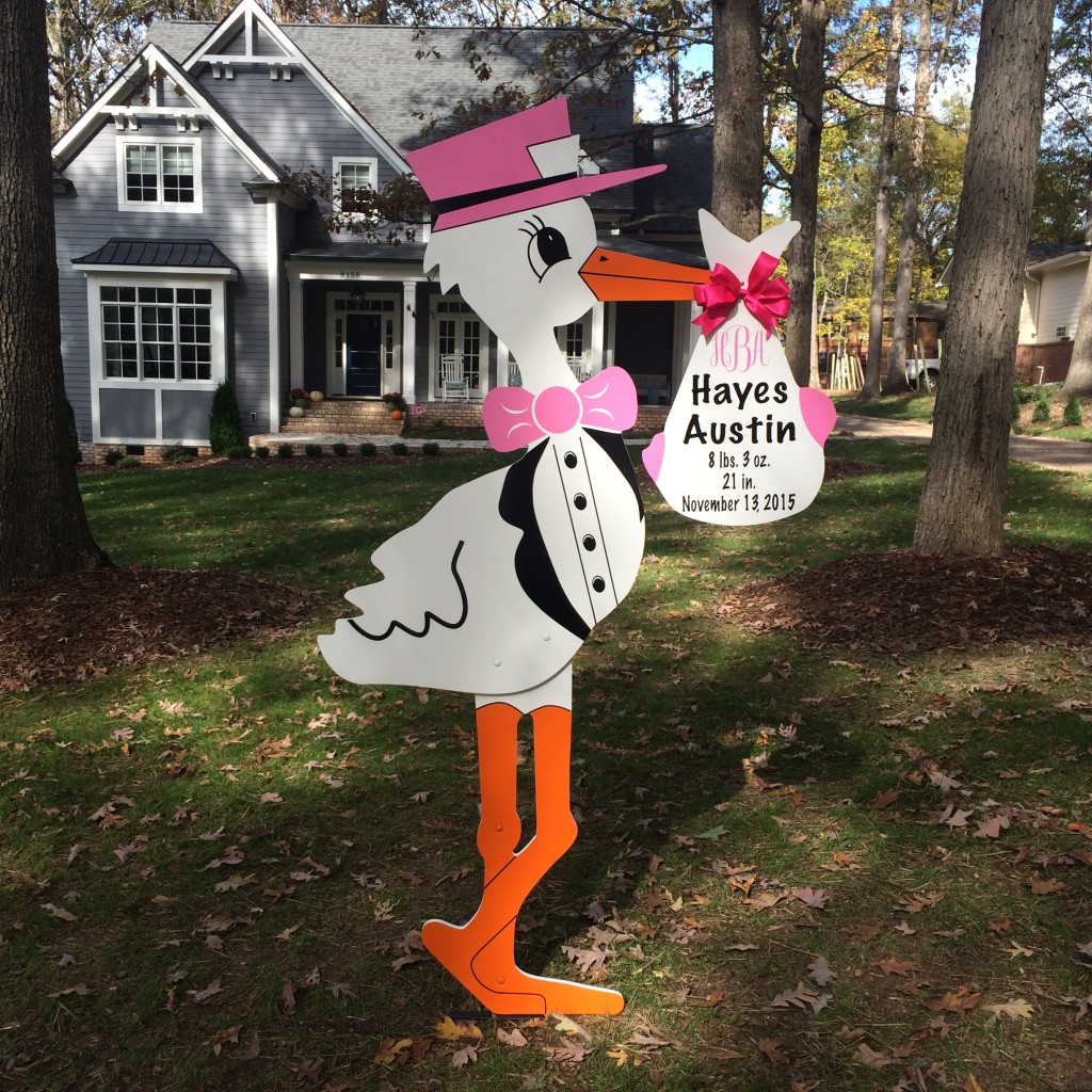 stork rental Charlotte NC
