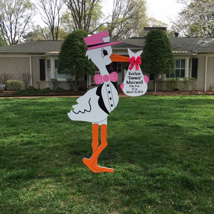baby announcement stork
