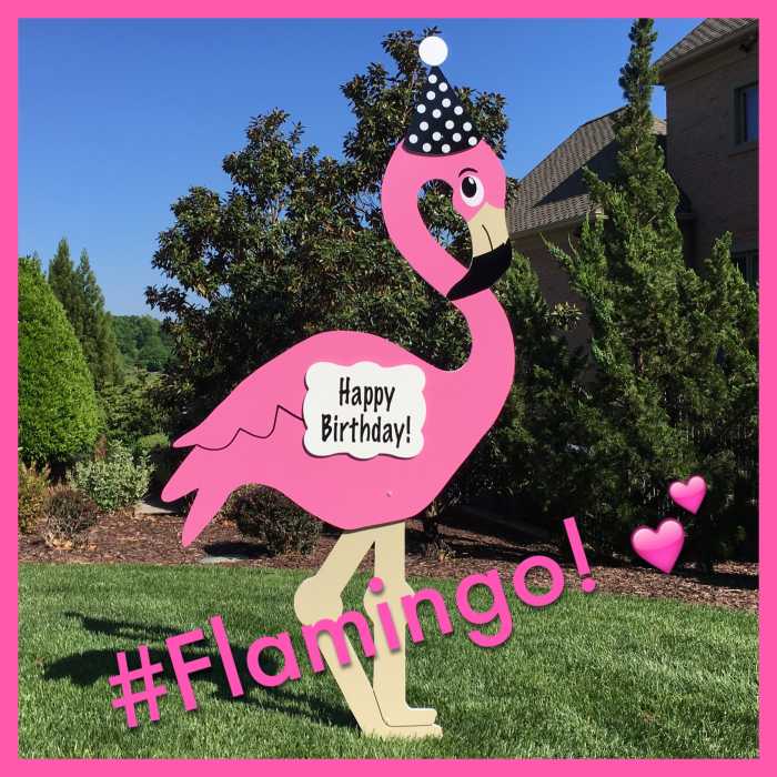 flamingo