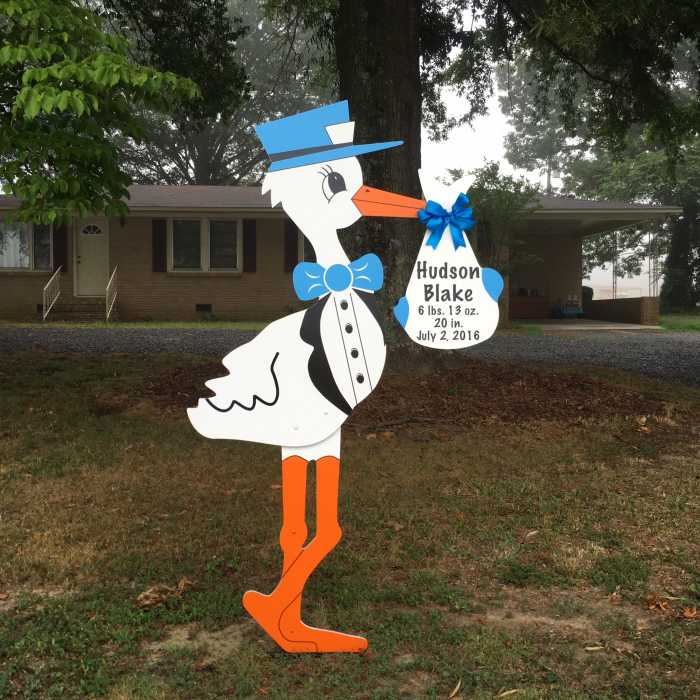 baby stork signs