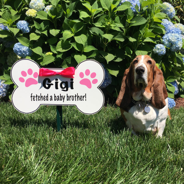 dog bone yard sign