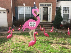 flock the yard