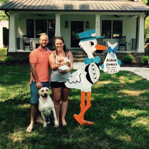 stork baby signs for the yard