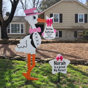 baby yard signs