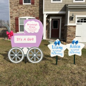 baby yard signs
