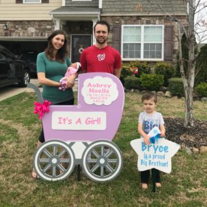baby yard signs