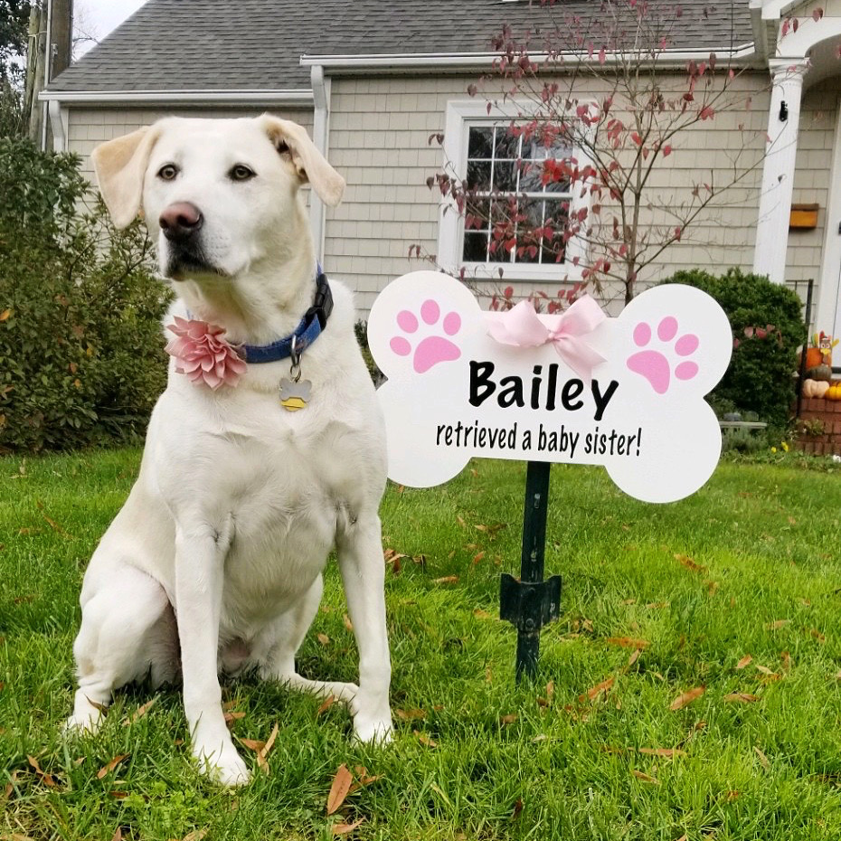 Birth announcement sign for new baby