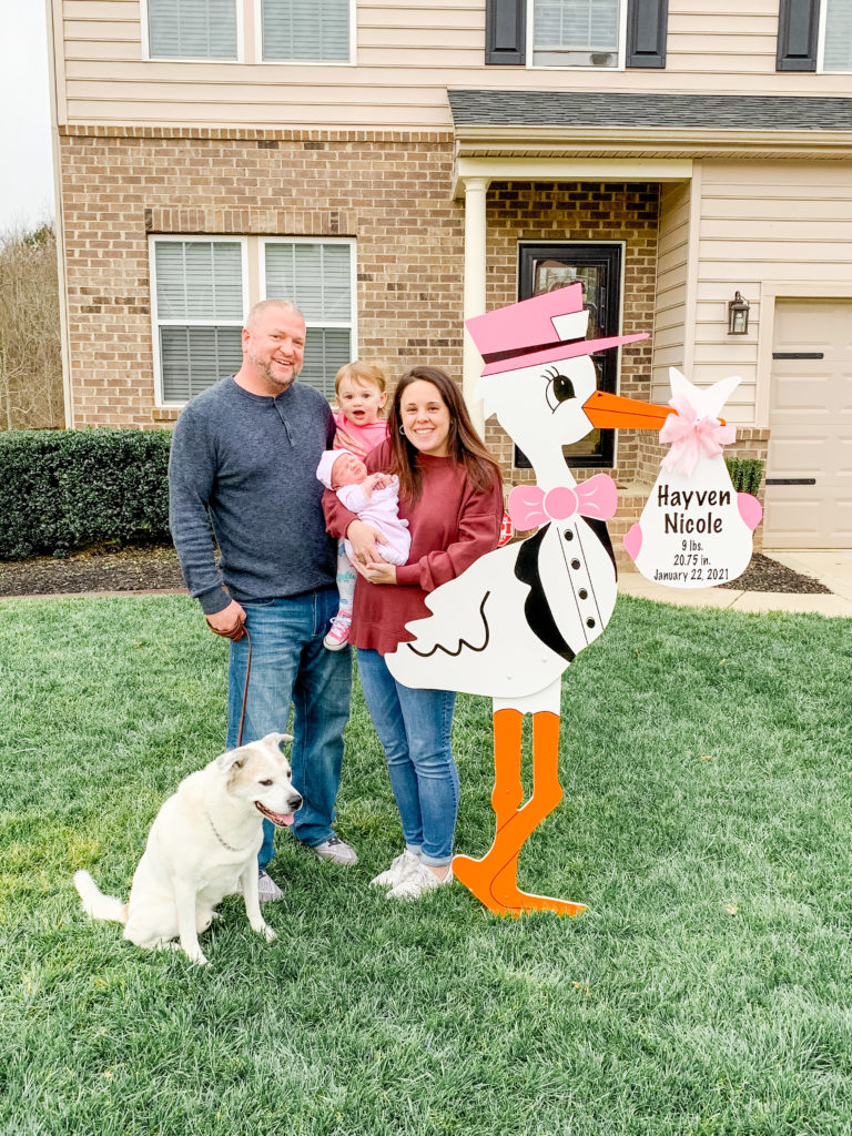 stork lawn signs for new baby