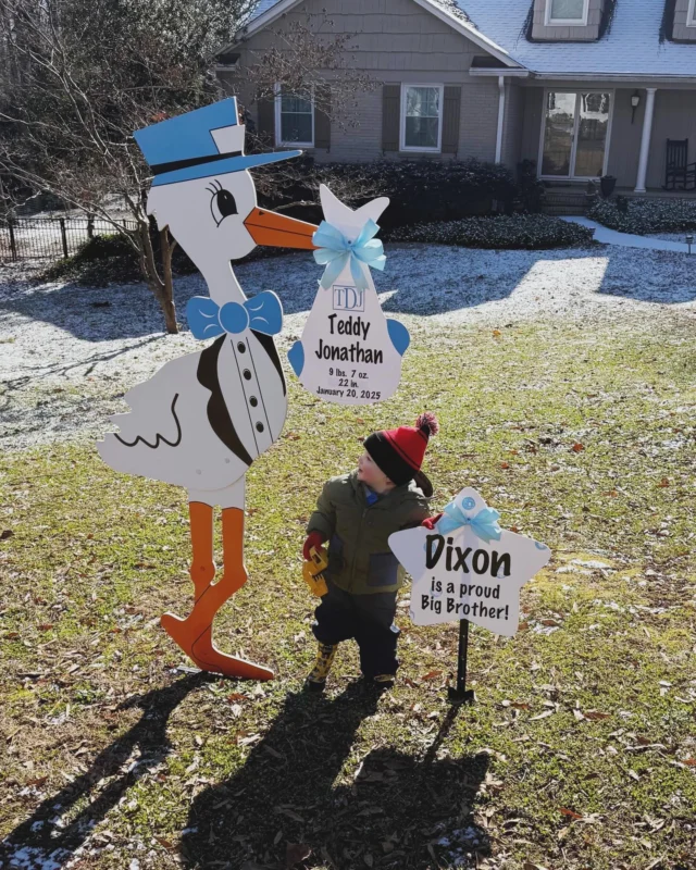 How cute is Big Brother Dixon?🌟🩵

#magnoliastorks #storksignscharlotte #storkscharlotte #charlottestorks #siblingstar #storksfortmill #fortmillstorks #storklady #yardsignscharlotte #lawnsignscharlotte #itsaboy