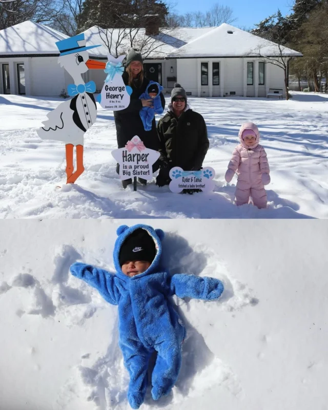 Meet adorable baby George and his family!!❄️🩵

#magnoliastorks #storksignscharlotte #storkscharlotte #charlottestorks #storksigns