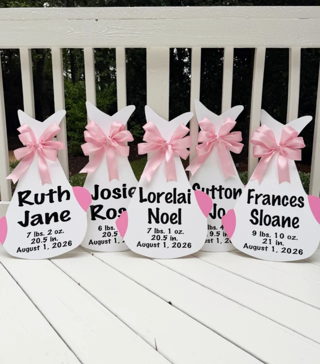 August 1st’s line-up! Five sweet girls are ready for their stork signs! 🍼🎀

#magnoliastorks #storksignscharlotte #charlottestorks #storkscharlotte #charlottenc